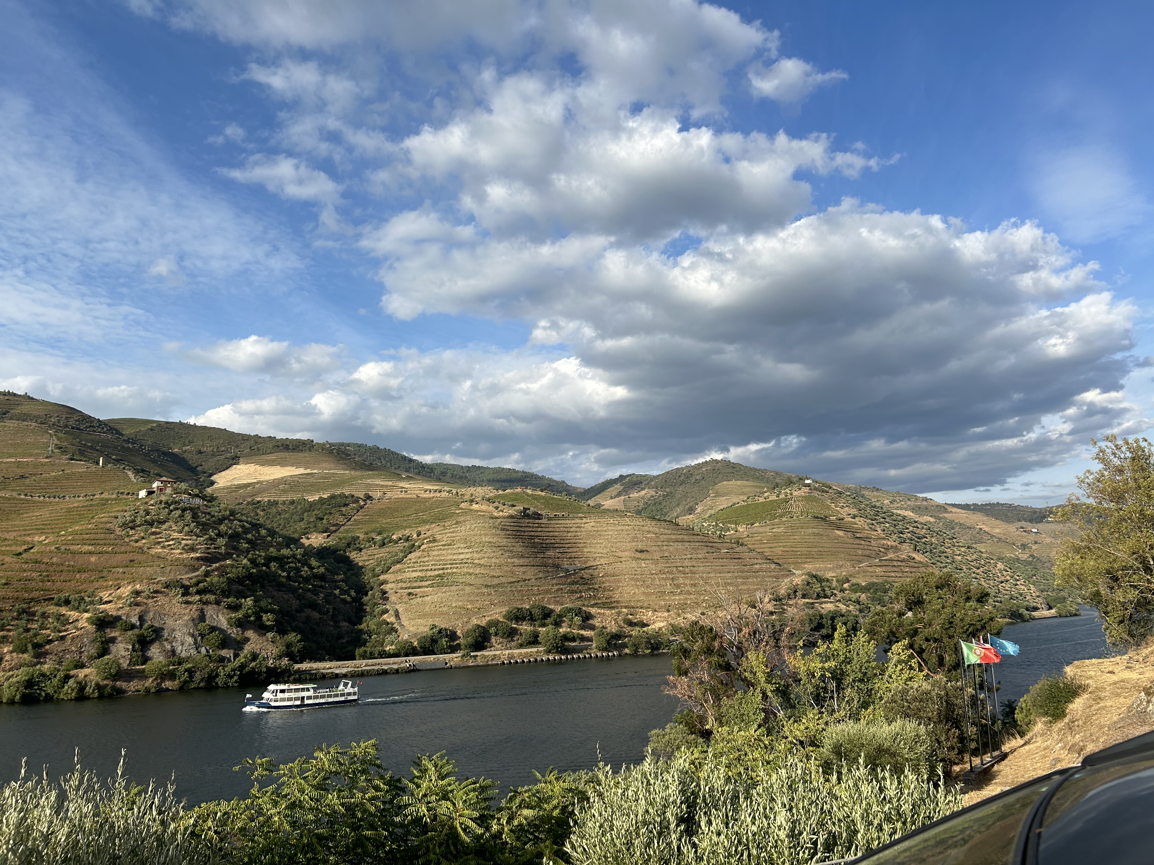A river cruise boat passes vineyard terraces on the Douro